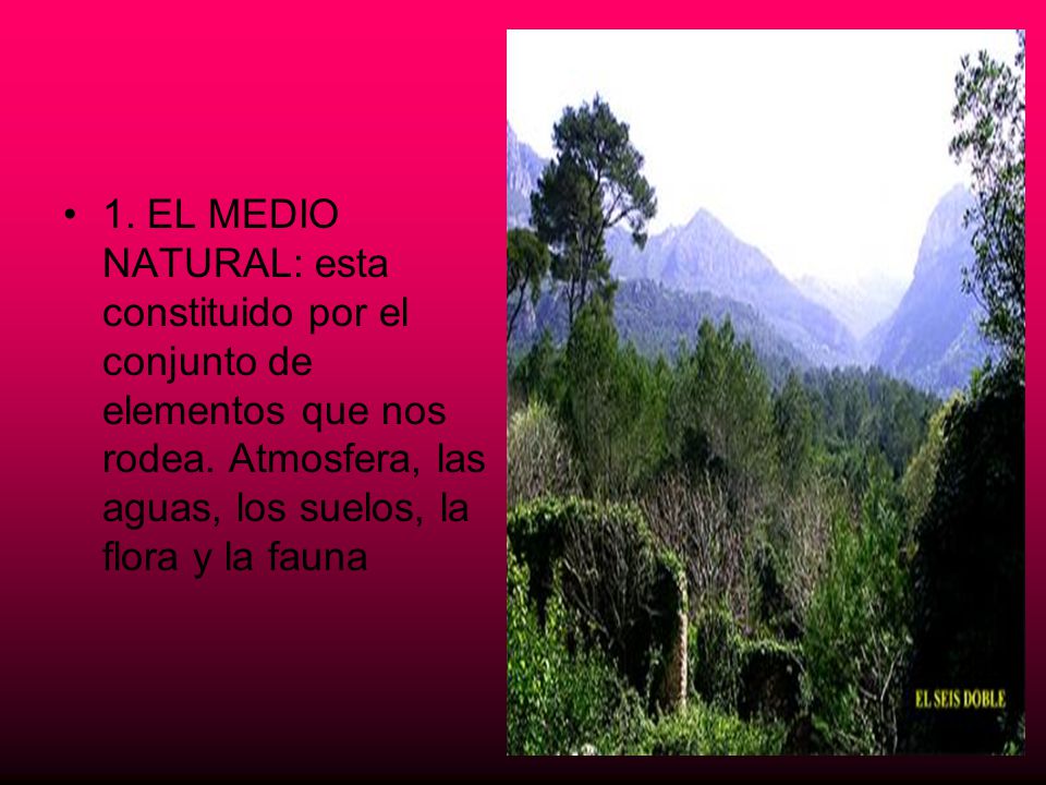 1. EL MEDIO NATURAL: esta constituido por el conjunto de elementos que nos rodea.