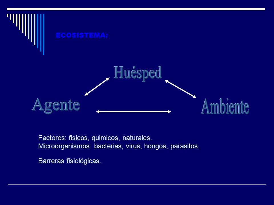 Huésped Agente Ambiente ECOSISTEMA:
