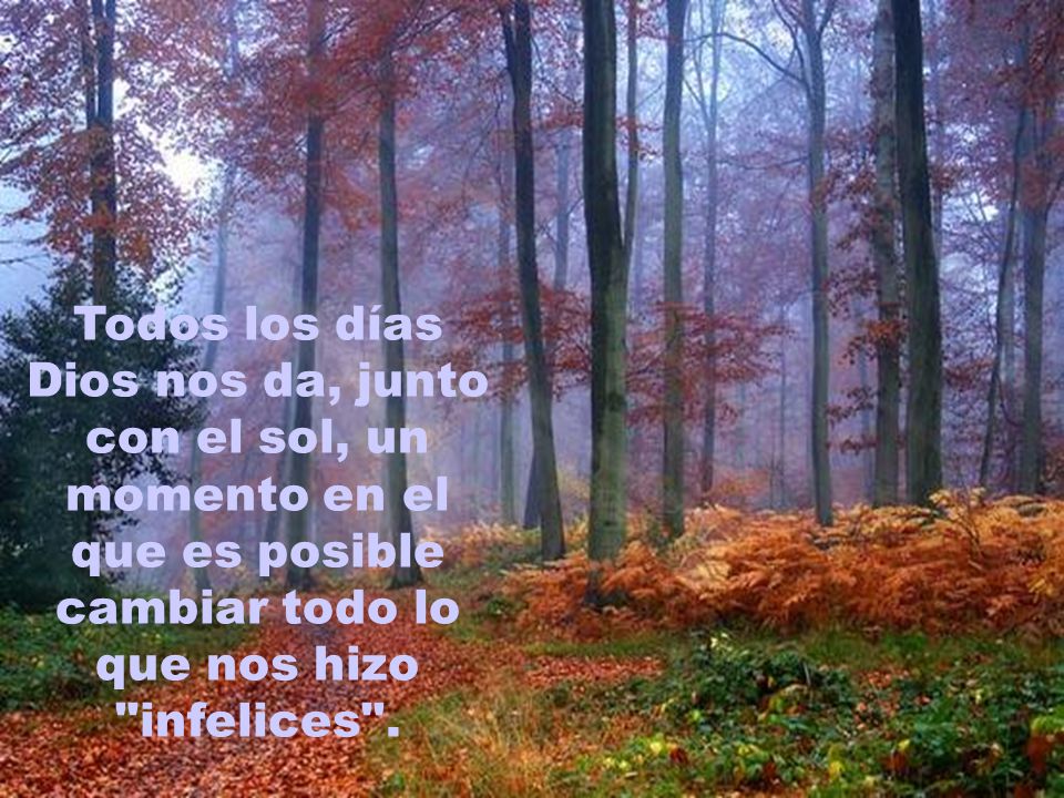 Todos los días Dios nos da, junto con el sol, un momento en el que es posible cambiar todo lo que nos hizo infelices .