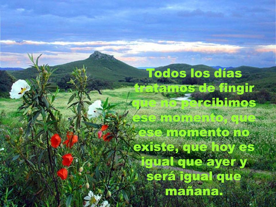 Todos los días tratamos de fingir que no percibimos ese momento, que ese momento no existe, que hoy es igual que ayer y será igual que mañana.
