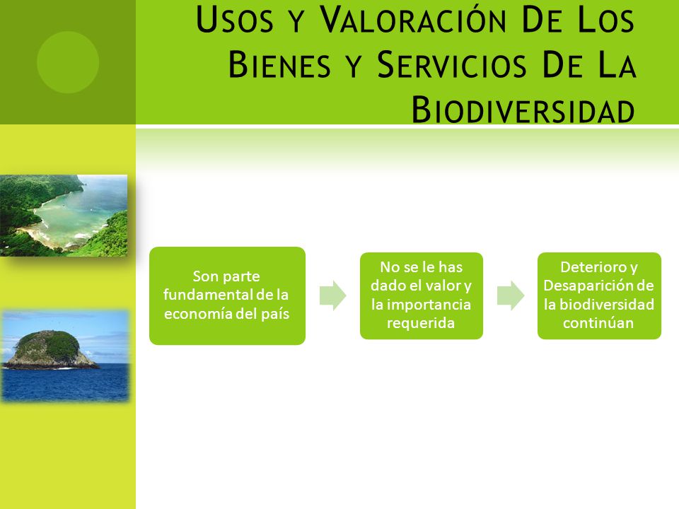 Usos y Valoración De Los Bienes y Servicios De La Biodiversidad