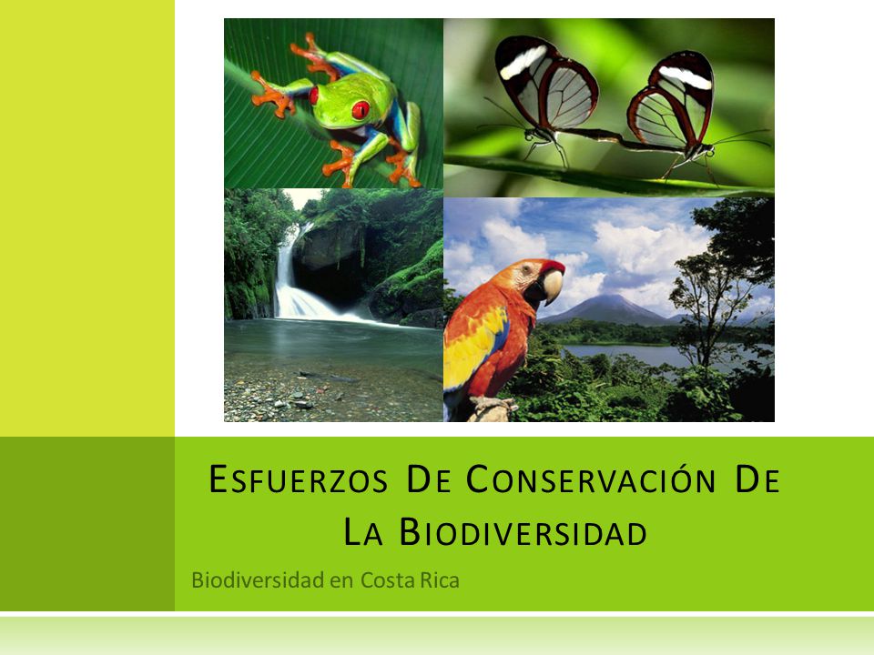 Esfuerzos De Conservación De La Biodiversidad