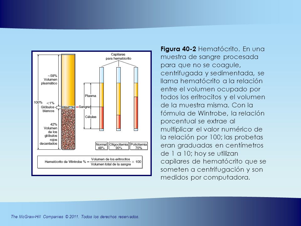 Figura 40-2 Hematócrito. En una muestra de sangre procesada para que no se coagule, centrifugada y sedimentada, se llama hematócrito a la relación entre el volumen ocupado por todos los eritrocitos y el volumen