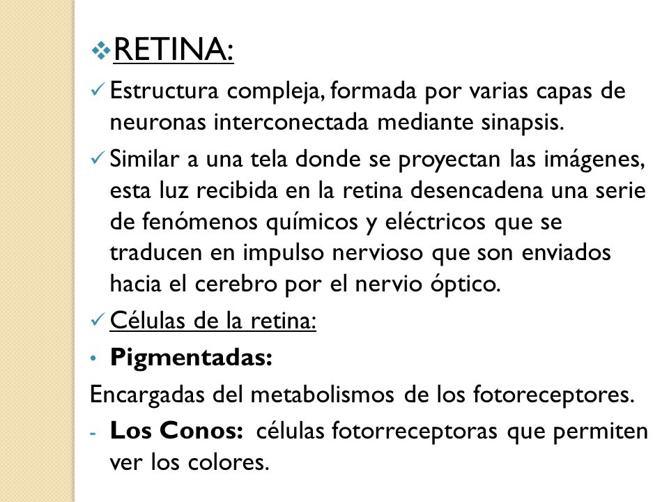 RETINA: Estructura compleja, formada por varias capas de neuronas interconectada mediante sinapsis.