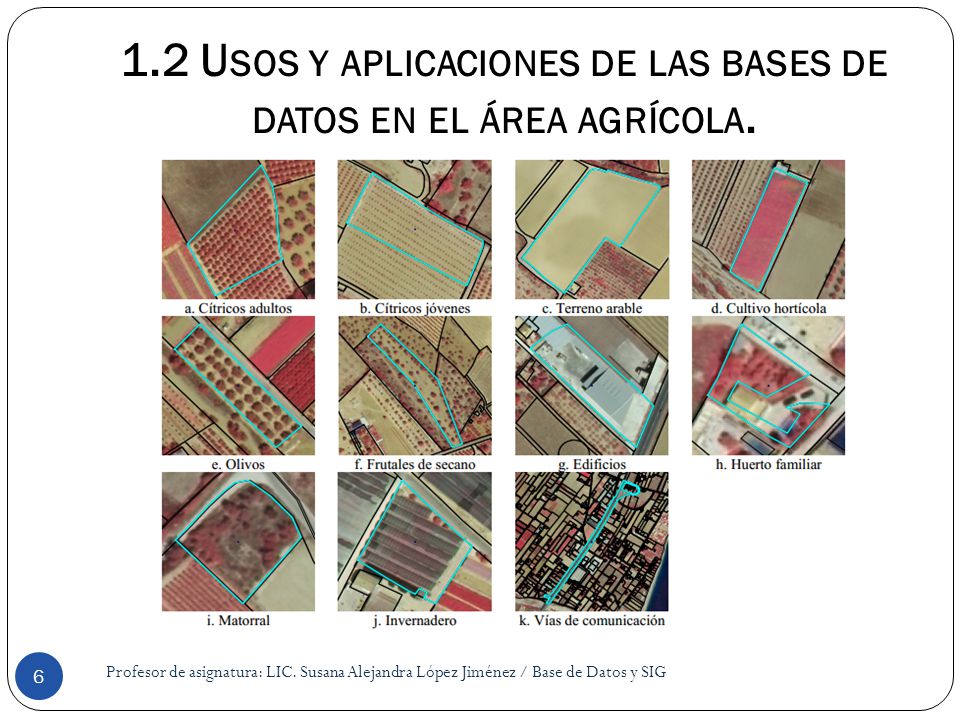 1.2 Usos y aplicaciones de las bases de datos en el área agrícola.