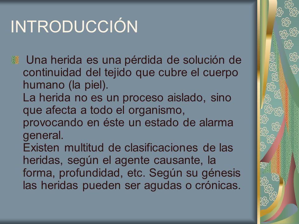 INTRODUCCIÓN