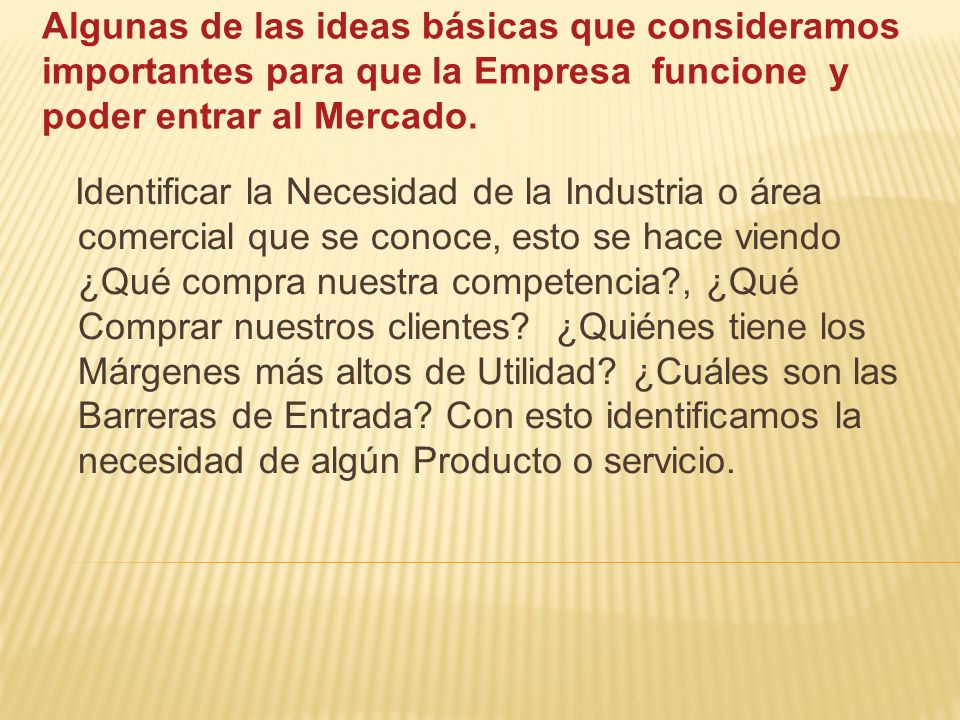 Algunas de las ideas básicas que consideramos importantes para que la Empresa funcione y poder entrar al Mercado.