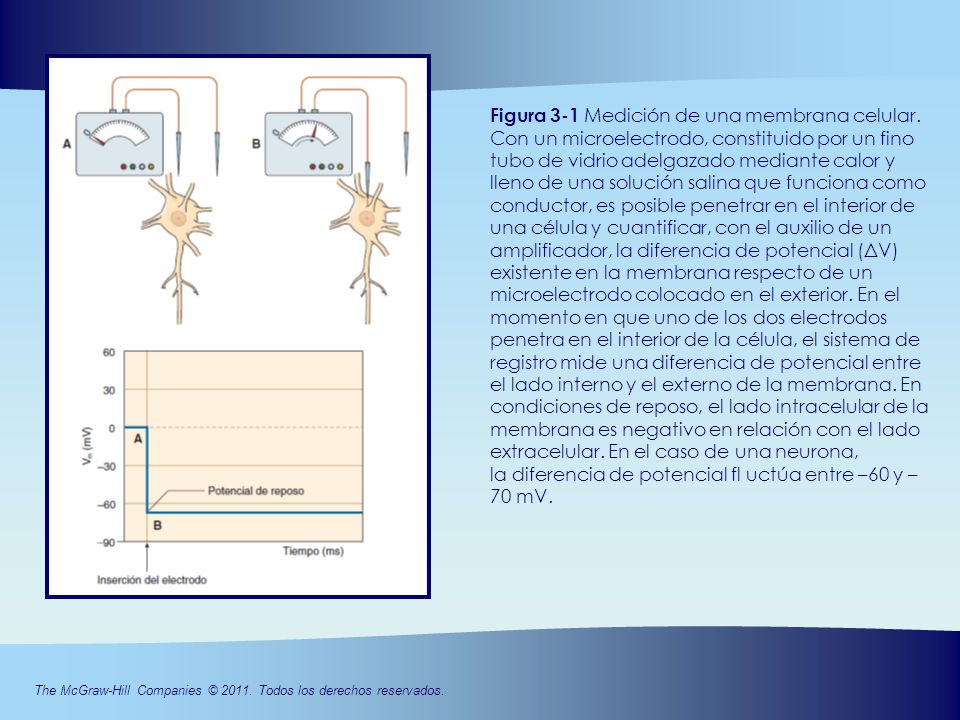 Figura 3-1 Medición de una membrana celular
