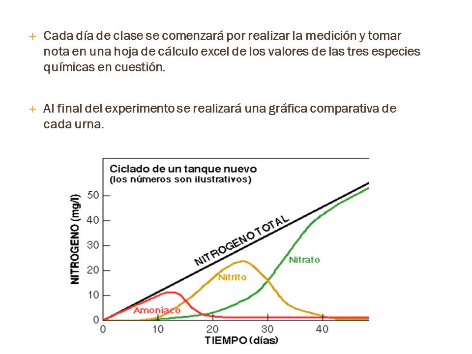 Cada día de clase se comenzará por realizar la medición y tomar nota en una hoja de cálculo excel de los valores de las tres especies químicas en cuestión.