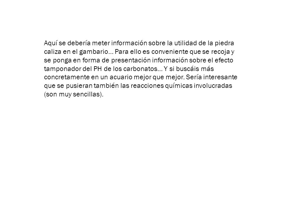 Aquí se debería meter información sobre la utilidad de la piedra caliza en el gambario… Para ello es conveniente que se recoja y se ponga en forma de presentación información sobre el efecto tamponador del PH de los carbonatos… Y si buscáis más concretamente en un acuario mejor que mejor.
