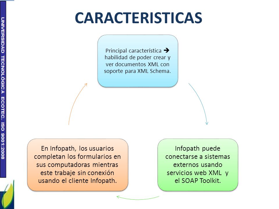 CARACTERISTICAS Principal característica  habilidad de poder crear y ver documentos XML con soporte para XML Schema.