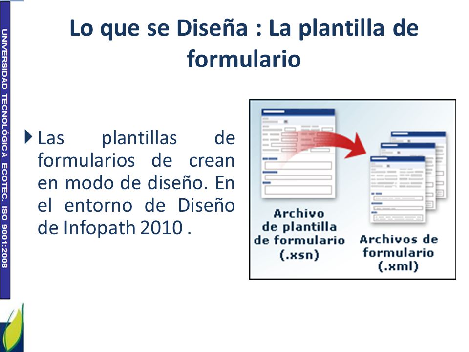 Lo que se Diseña : La plantilla de formulario