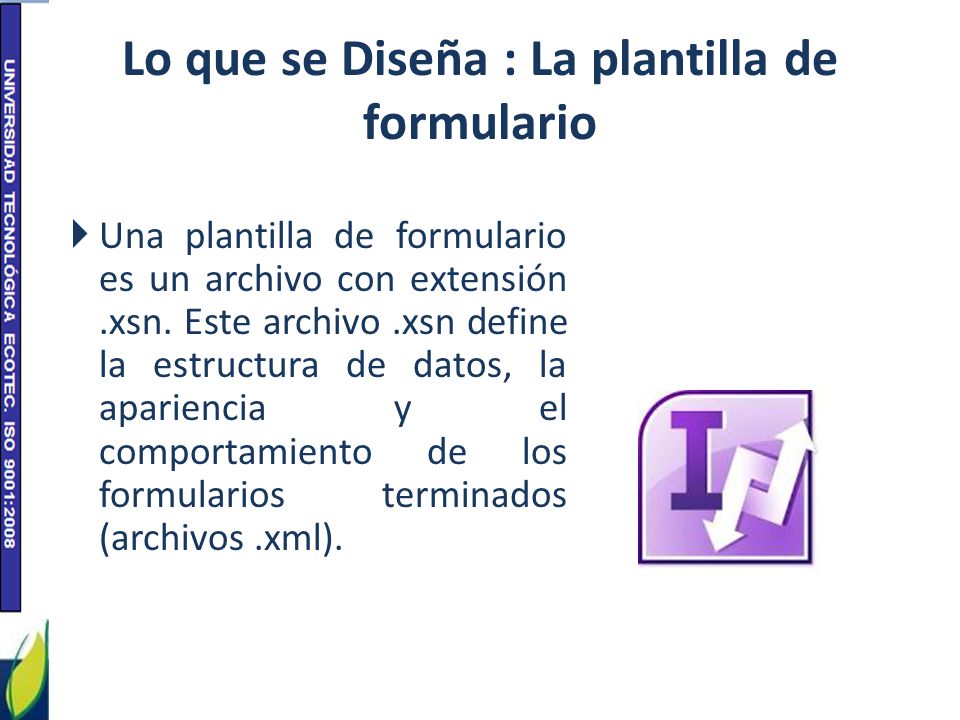 Lo que se Diseña : La plantilla de formulario