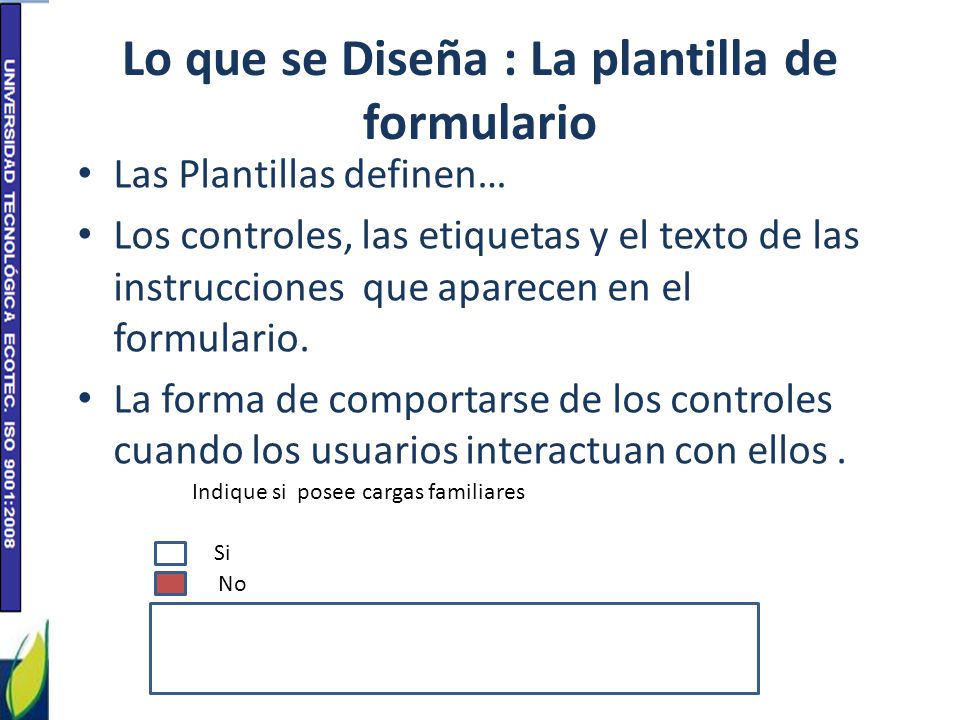 Lo que se Diseña : La plantilla de formulario