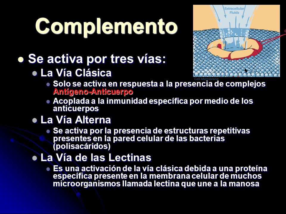 Complemento Se activa por tres vías: La Vía Clásica La Vía Alterna
