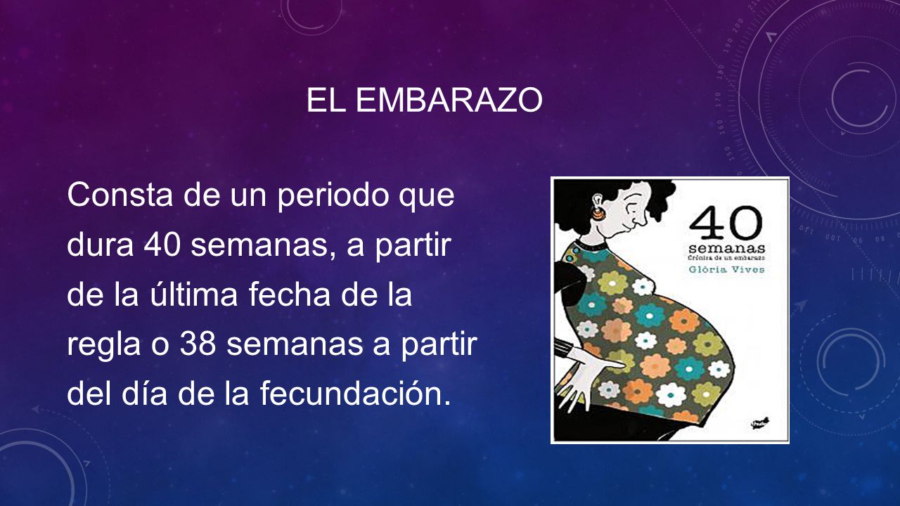 El embarazo Consta de un periodo que dura 40 semanas, a partir de la última fecha de la regla o 38 semanas a partir del día de la fecundación.