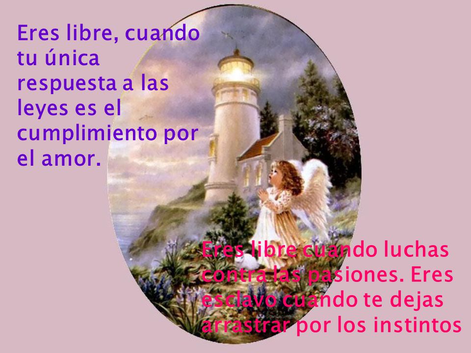 Eres libre, cuando tu única respuesta a las leyes es el cumplimiento por el amor.