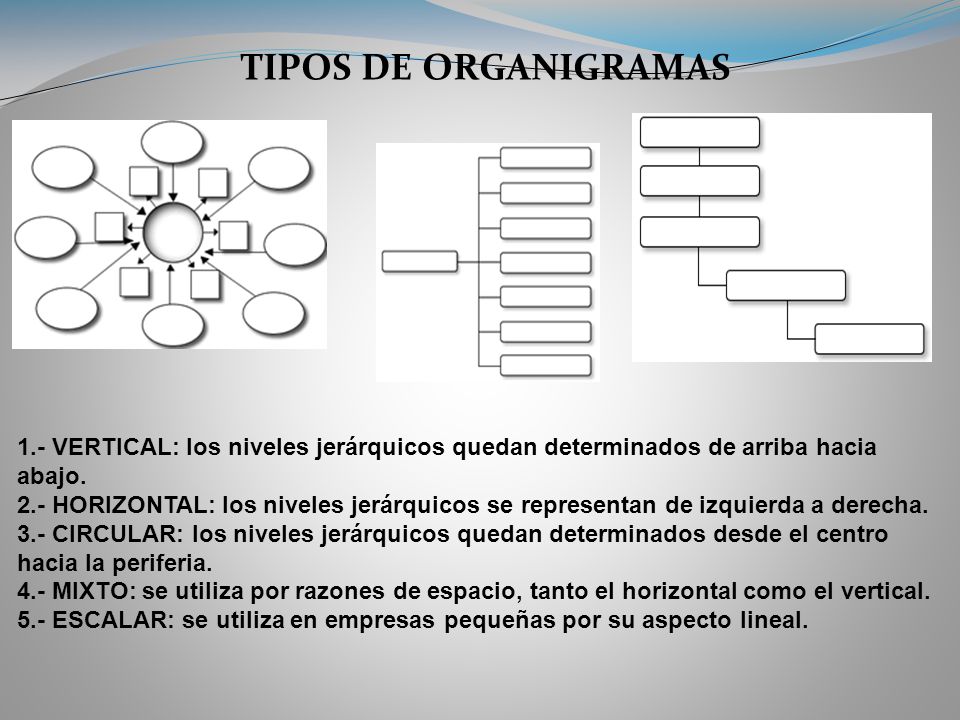 TIPOS DE ORGANIGRAMAS 1.- VERTICAL: los niveles jerárquicos quedan determinados de arriba hacia abajo.