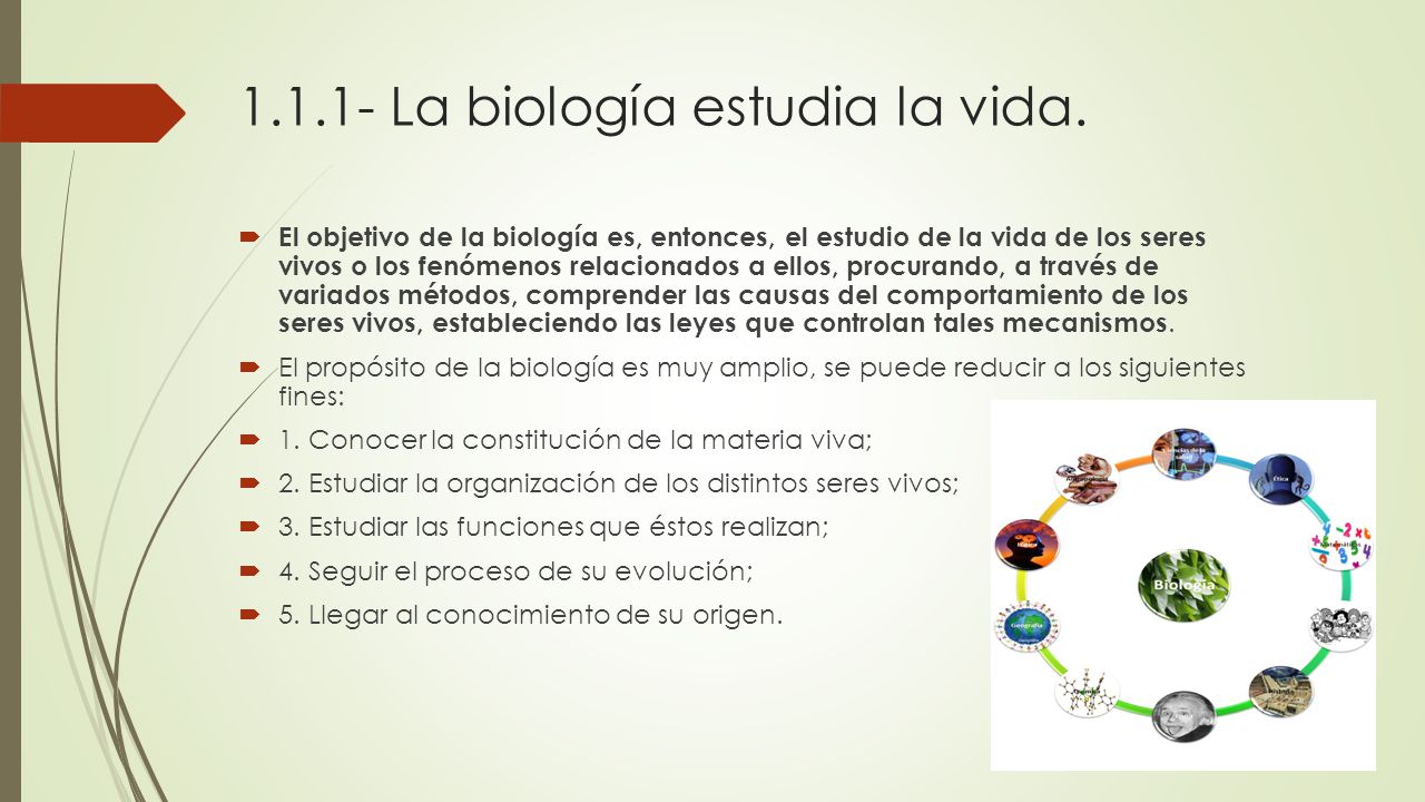 La biología estudia la vida.