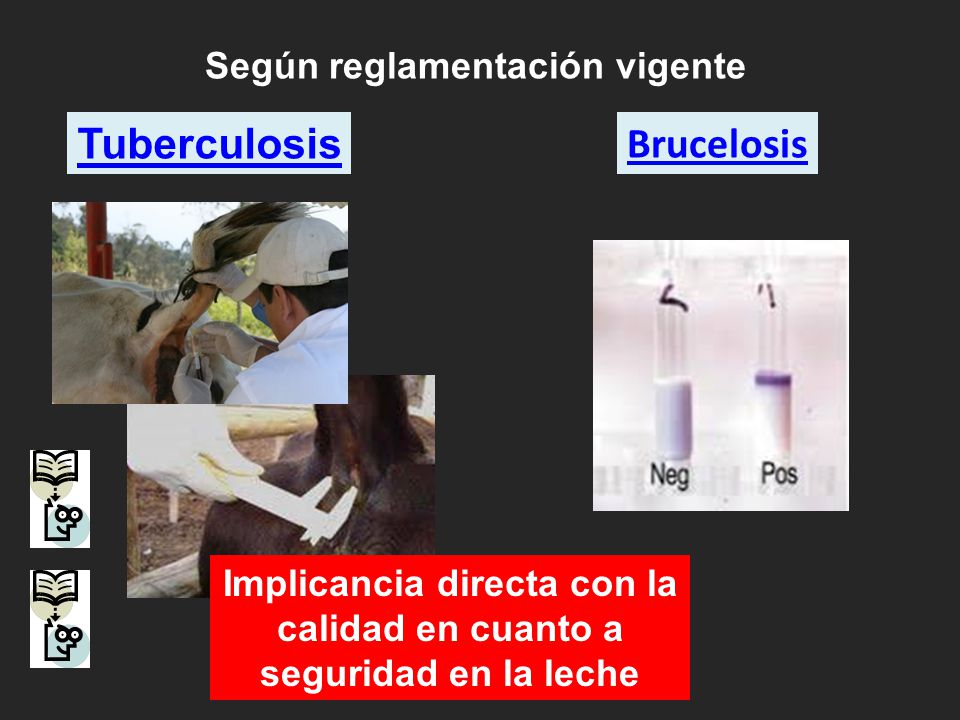 Implicancia directa con la calidad en cuanto a seguridad en la leche