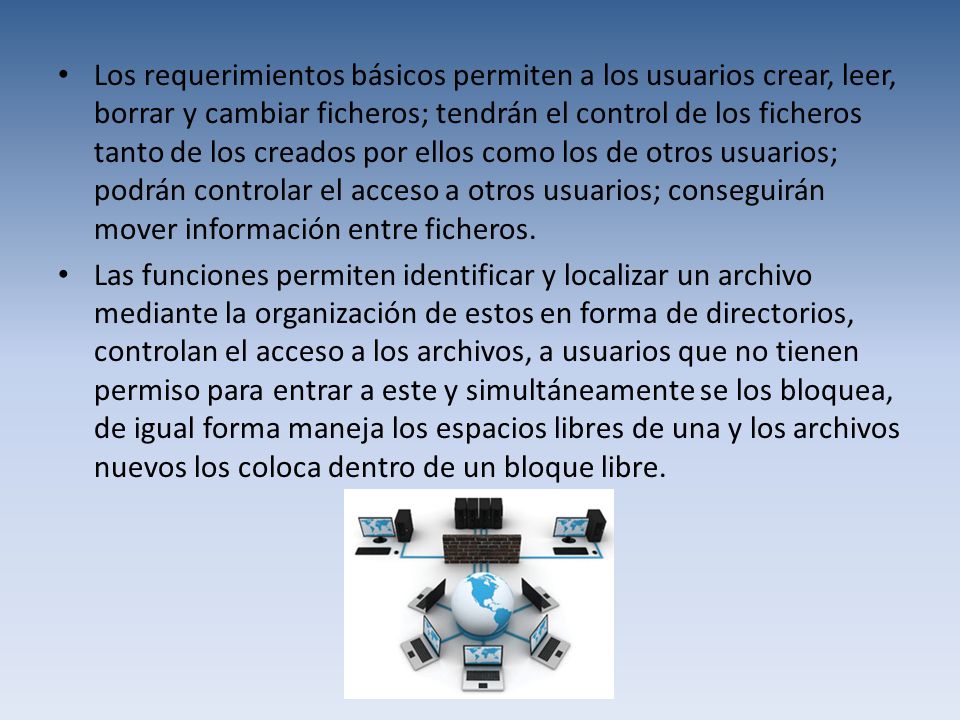 Los requerimientos básicos permiten a los usuarios crear, leer, borrar y cambiar ficheros; tendrán el control de los ficheros tanto de los creados por ellos como los de otros usuarios; podrán controlar el acceso a otros usuarios; conseguirán mover información entre ficheros.