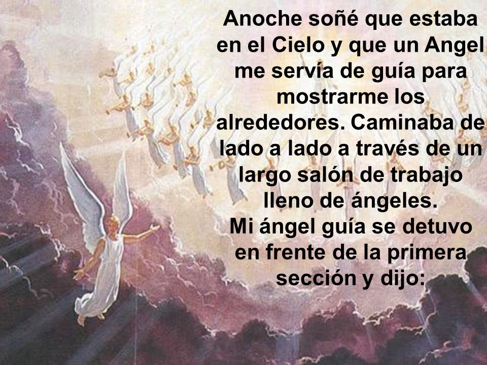 Mi ángel guía se detuvo en frente de la primera sección y dijo: