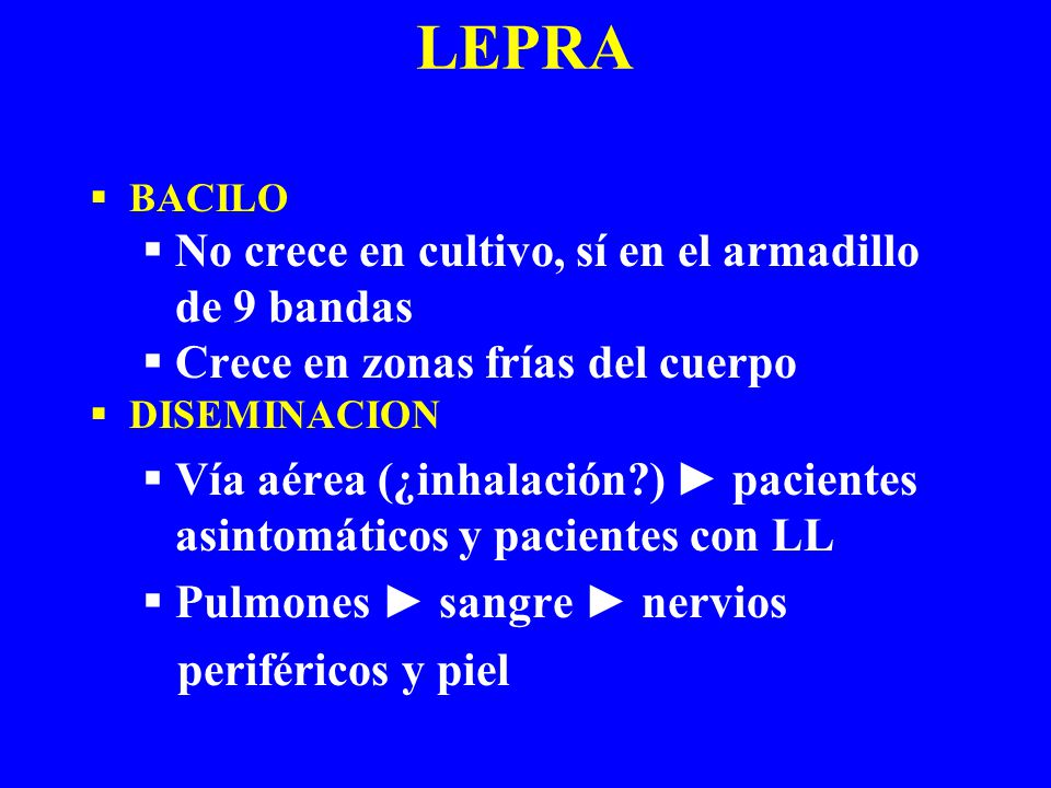 LEPRA No crece en cultivo, sí en el armadillo de 9 bandas