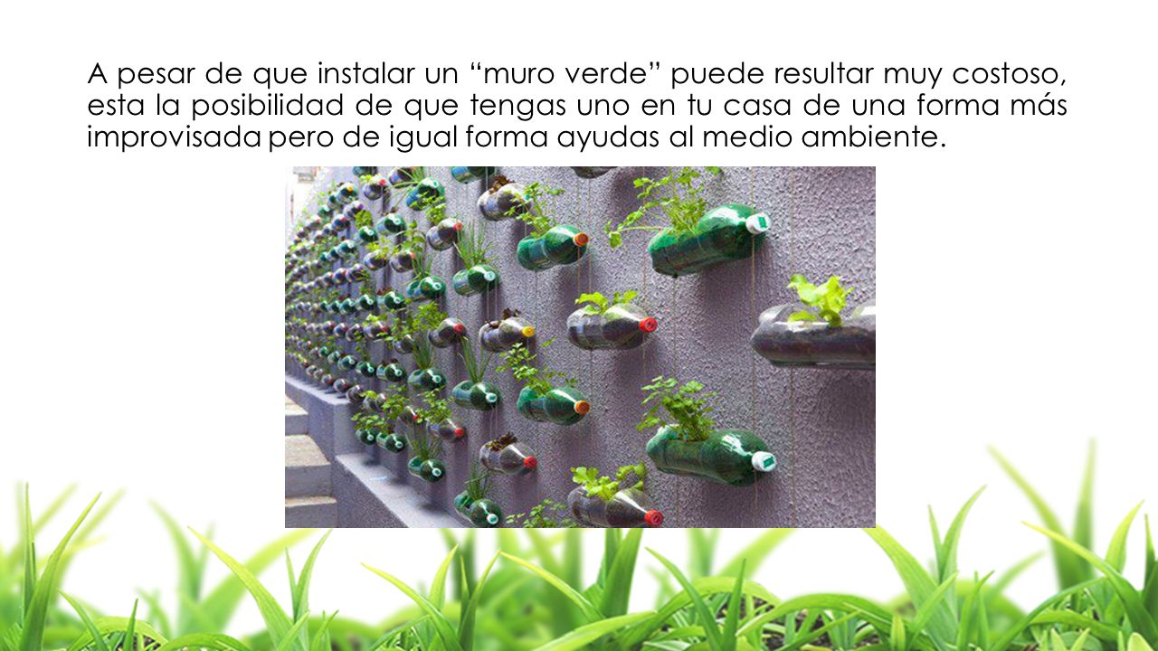 A pesar de que instalar un muro verde puede resultar muy costoso, esta la posibilidad de que tengas uno en tu casa de una forma más improvisada pero de igual forma ayudas al medio ambiente.
