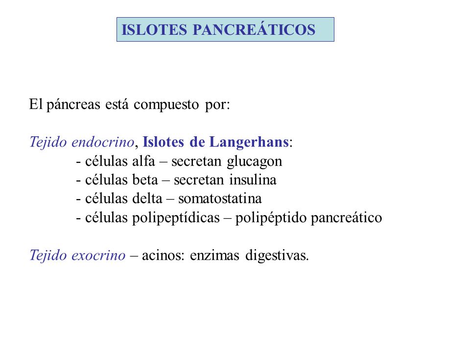 ISLOTES PANCREÁTICOS El páncreas está compuesto por: Tejido endocrino, Islotes de Langerhans: - células alfa – secretan glucagon.