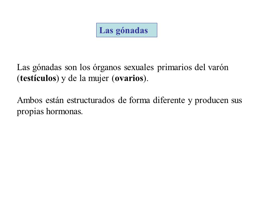 Las gónadas Las gónadas son los órganos sexuales primarios del varón (testículos) y de la mujer (ovarios).