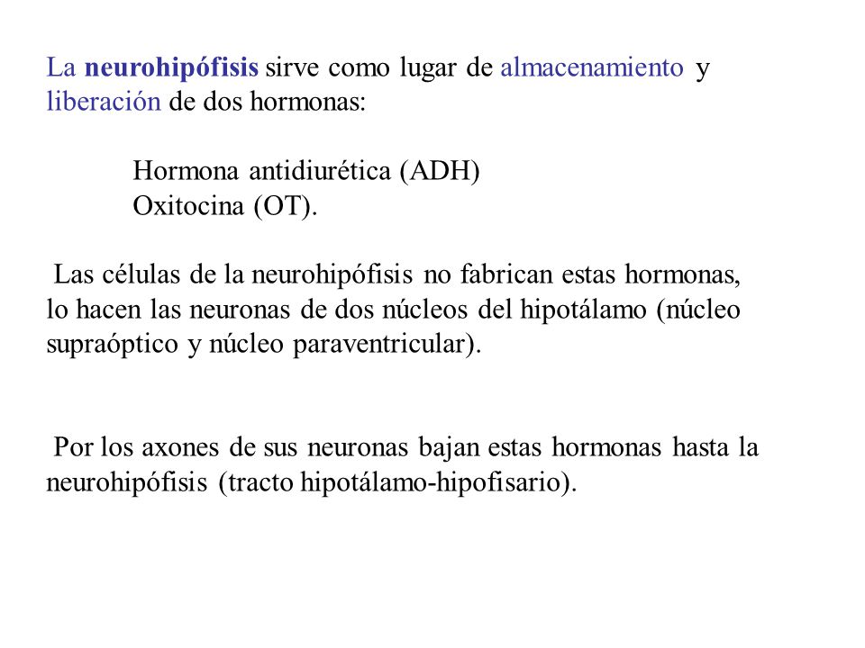 La neurohipófisis sirve como lugar de almacenamiento y liberación de dos hormonas: