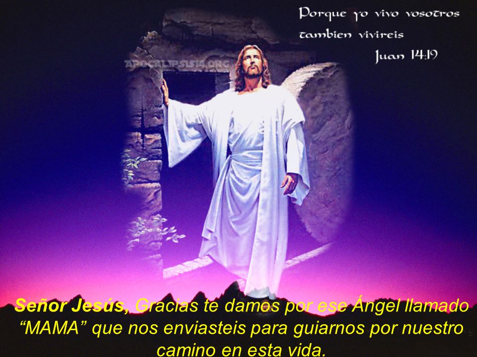Señor Jesús, Gracias te damos por ese Ángel llamado MAMA que nos enviasteis para guiarnos por nuestro camino en esta vida.