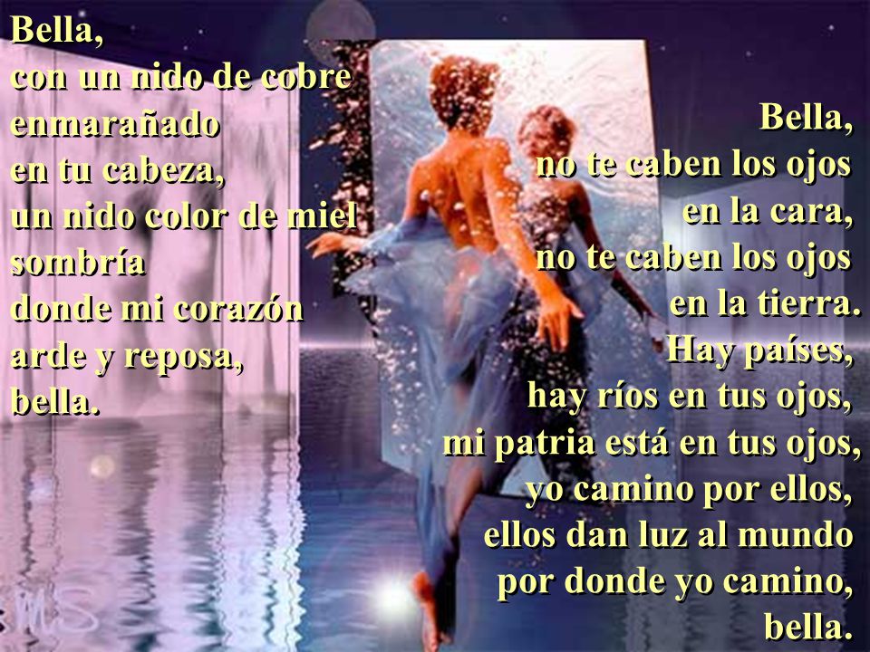 Bella, con un nido de cobre. enmarañado. en tu cabeza, un nido color de miel. sombría. donde mi corazón.