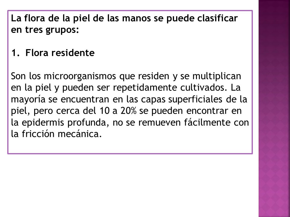 La flora de la piel de las manos se puede clasificar en tres grupos: