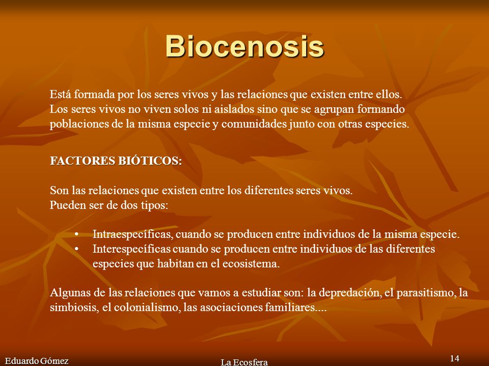 Biocenosis Está formada por los seres vivos y las relaciones que existen entre ellos.