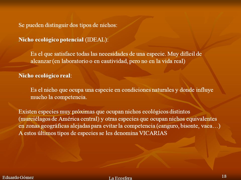 Se pueden distinguir dos tipos de nichos:
