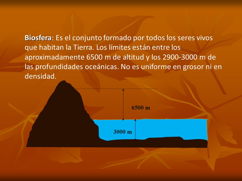 Biosfera: Es el conjunto formado por todos los seres vivos que habitan la Tierra. Los límites están entre los aproximadamente 6500 m de altitud y los m de las profundidades oceánicas. No es uniforme en grosor ni en densidad.