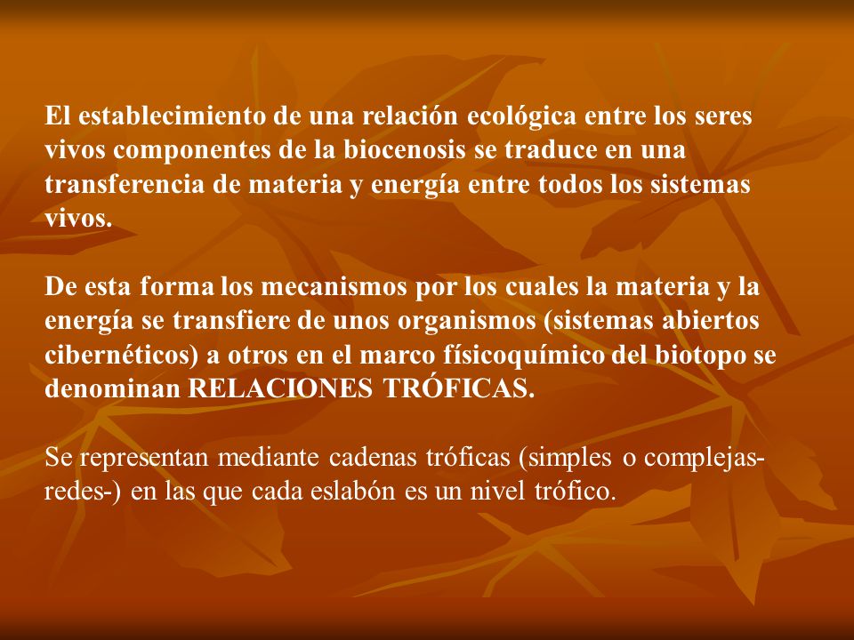 El establecimiento de una relación ecológica entre los seres vivos componentes de la biocenosis se traduce en una transferencia de materia y energía entre todos los sistemas vivos.