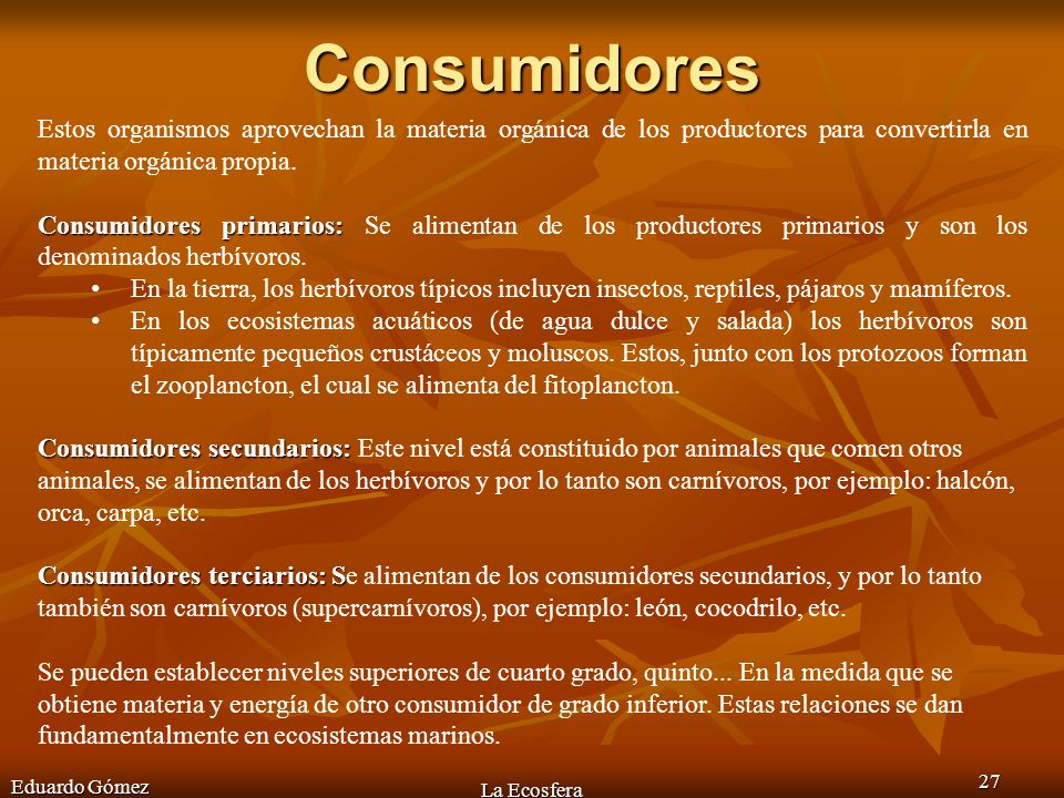 Consumidores Estos organismos aprovechan la materia orgánica de los productores para convertirla en materia orgánica propia.