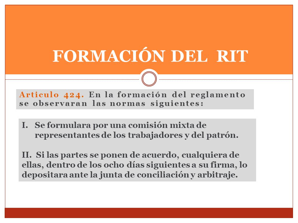 FORMACIÓN DEL RIT Articulo 424. En la formación del reglamento se observaran las normas siguientes: