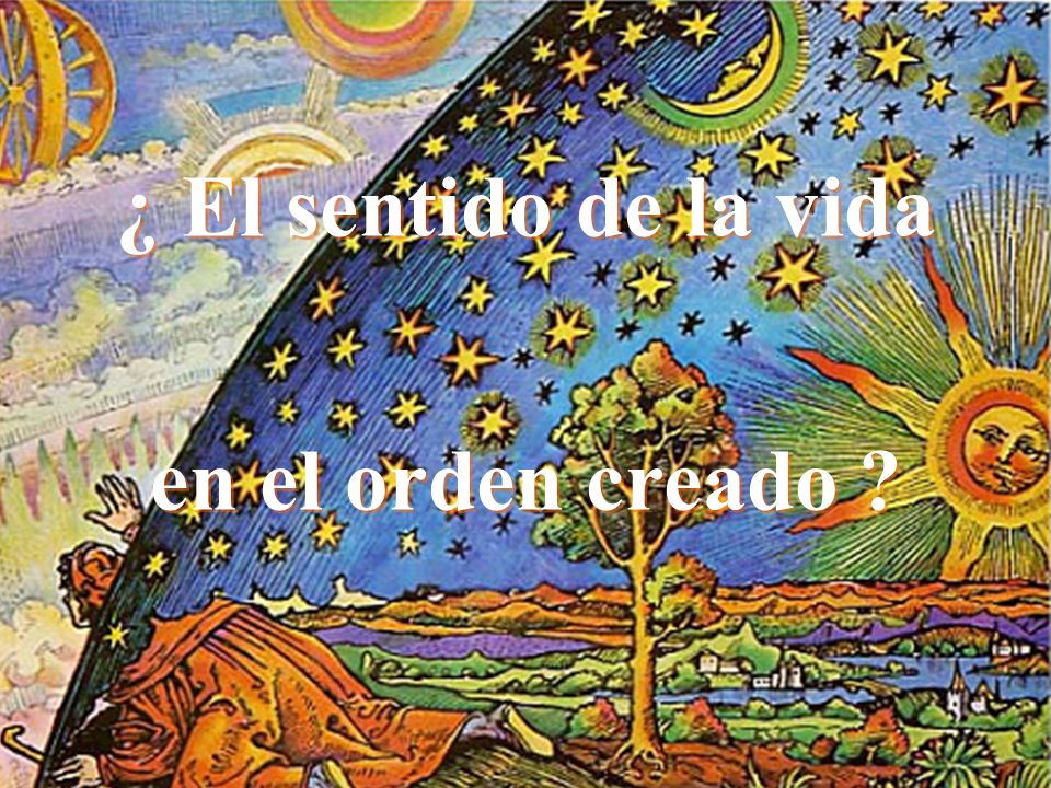 ¿ El sentido de la vida en el orden creado