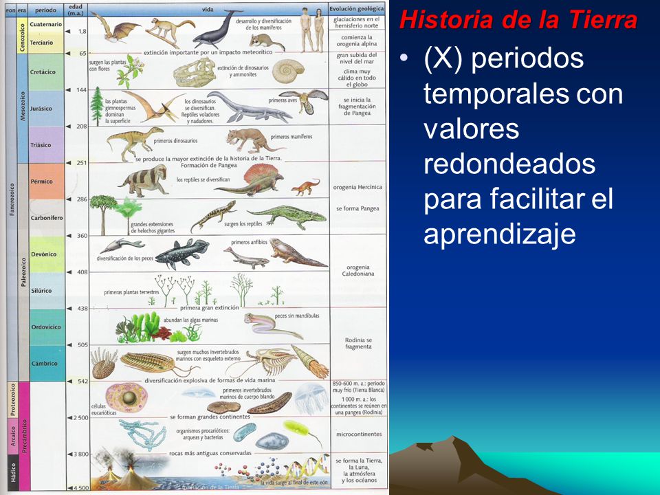 Historia de la Tierra (X) periodos temporales con valores redondeados para facilitar el aprendizaje
