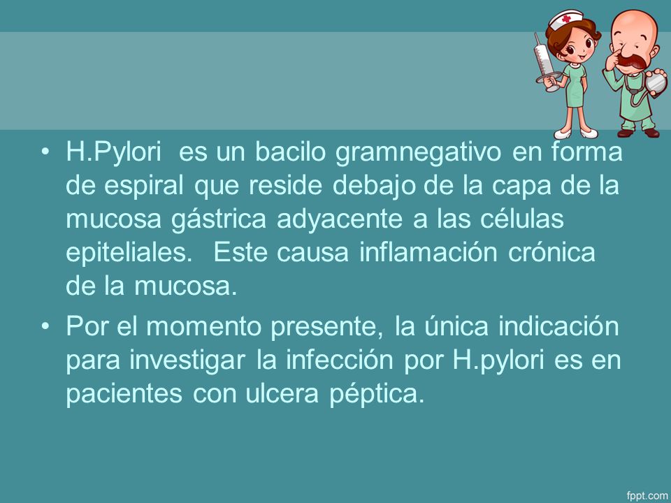 H.Pylori es un bacilo gramnegativo en forma de espiral que reside debajo de la capa de la mucosa gástrica adyacente a las células epiteliales. Este causa inflamación crónica de la mucosa.