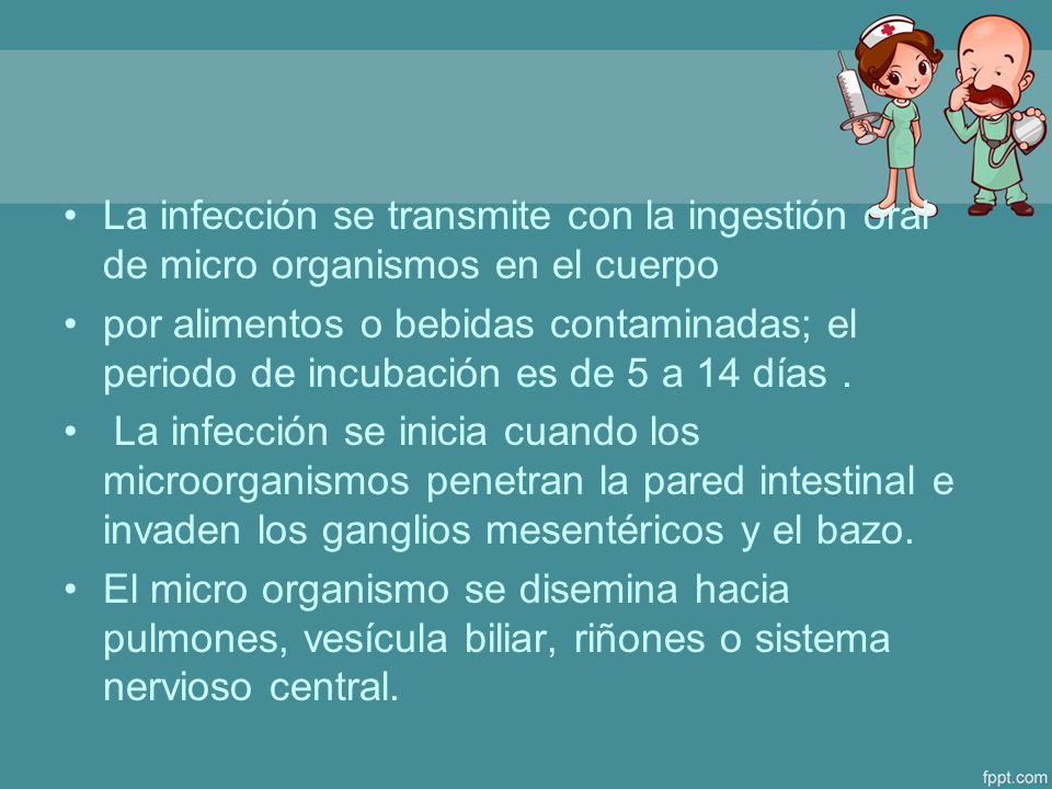 La infección se transmite con la ingestión oral de micro organismos en el cuerpo