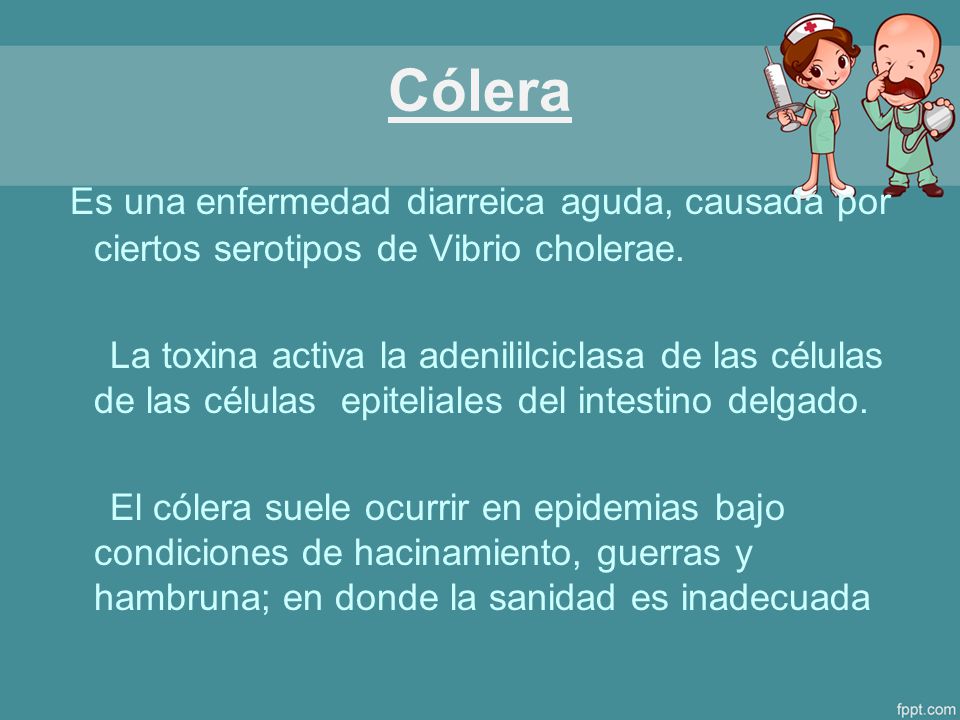 Cólera Es una enfermedad diarreica aguda, causada por ciertos serotipos de Vibrio cholerae.