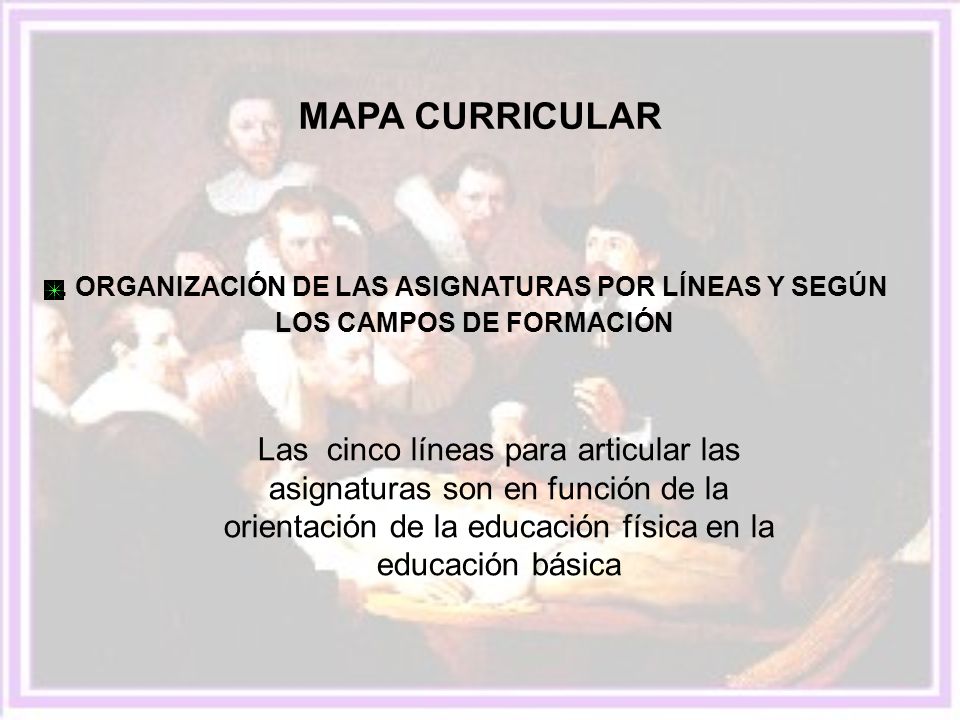 MAPA CURRICULAR . ORGANIZACIÓN DE LAS ASIGNATURAS POR LÍNEAS Y SEGÚN LOS CAMPOS DE FORMACIÓN.