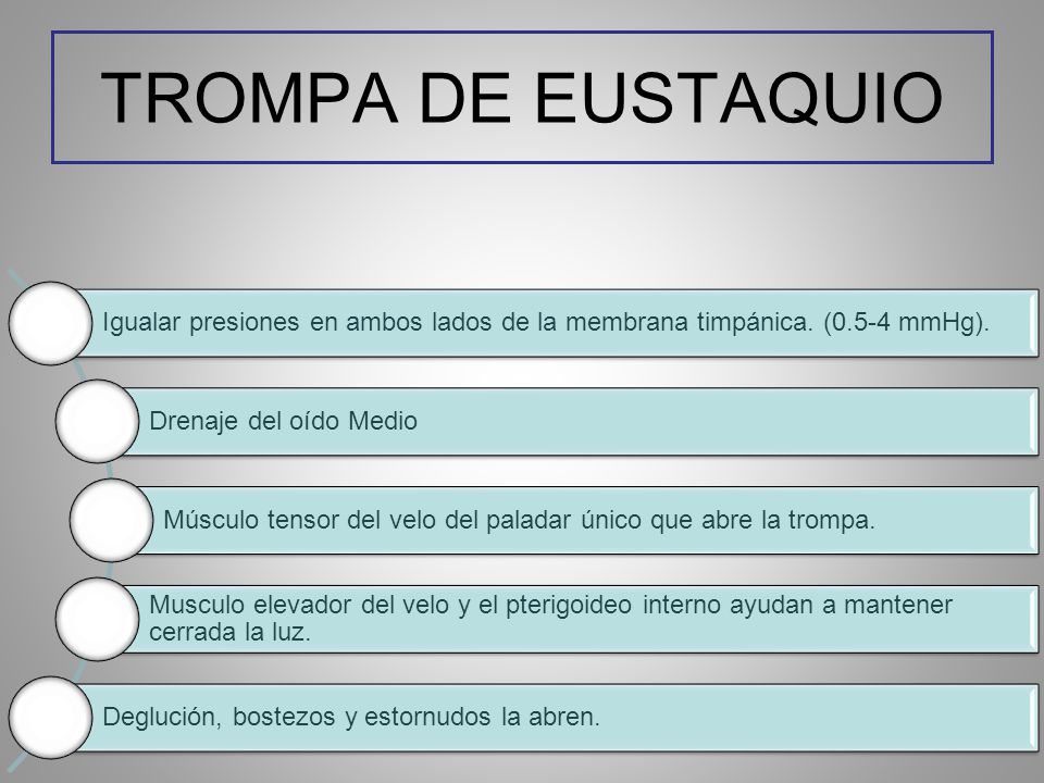 TROMPA DE EUSTAQUIO Igualar presiones en ambos lados de la membrana timpánica. (0.5-4 mmHg). Drenaje del oído Medio.
