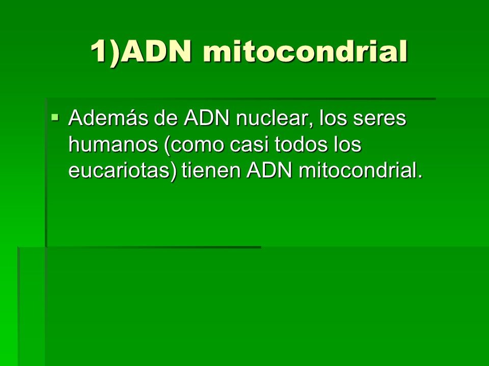 1)ADN mitocondrial Además de ADN nuclear, los seres humanos (como casi todos los eucariotas) tienen ADN mitocondrial.