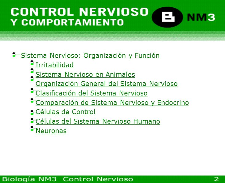 Sistema Nervioso: Organización y Función