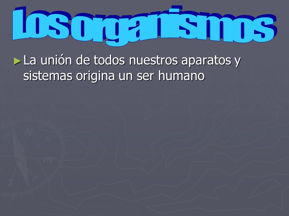 Los organismos La unión de todos nuestros aparatos y sistemas origina un ser humano